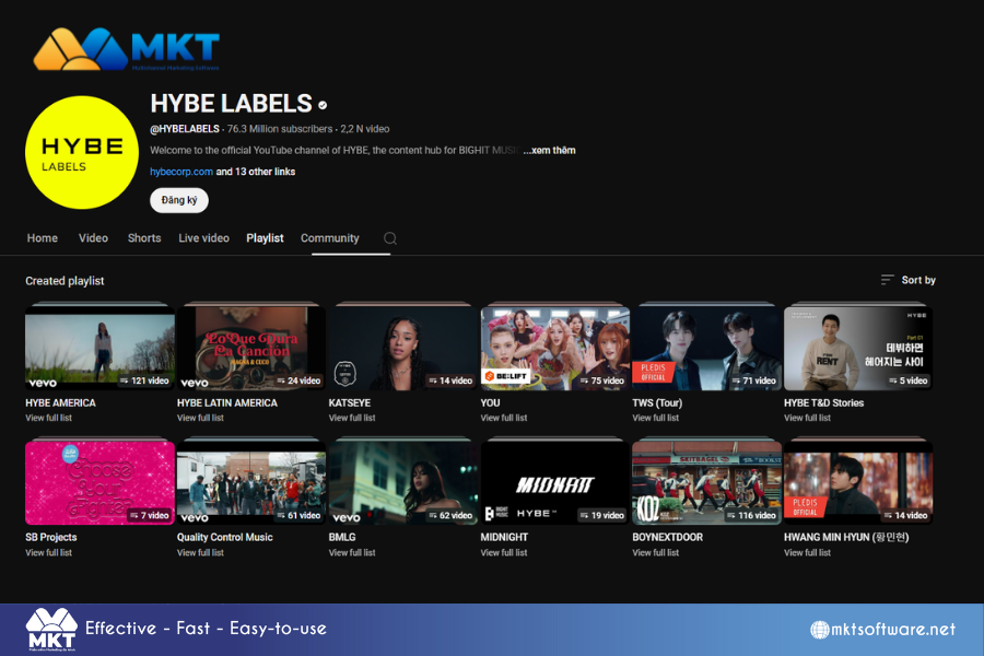 Add related videos to playlists How To Get Your Videos Recommended On YouTube: 7 Proven Strategies