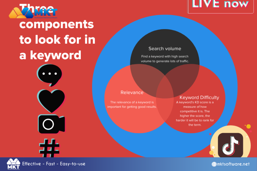 Research topic keywords and related keywords 8 steps of TikTok SEO optimization process on search engines