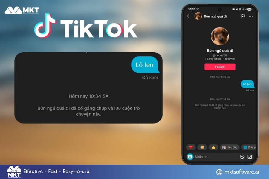 Ideal users of auto send message TikTok software